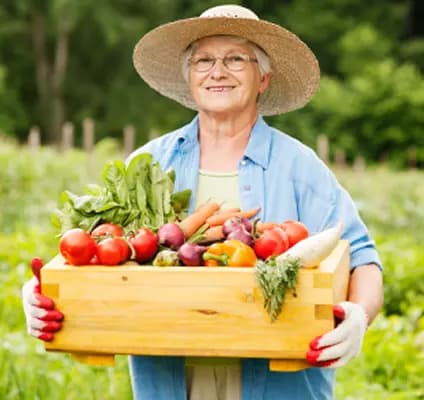 Why Supporting Local Farms is Important Than Ever
